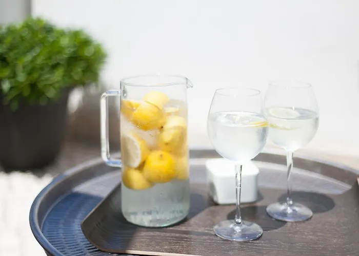 Apartamento Living Graca *